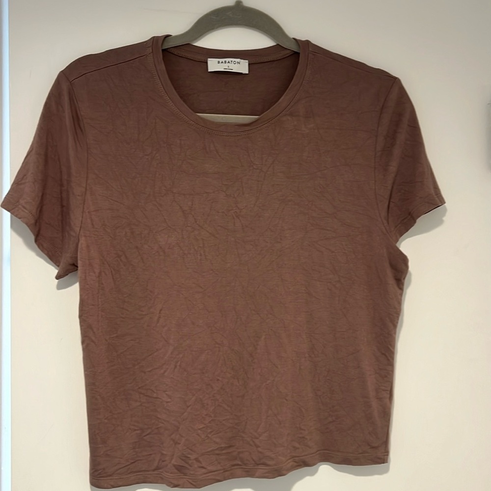 Aritzia tshirt